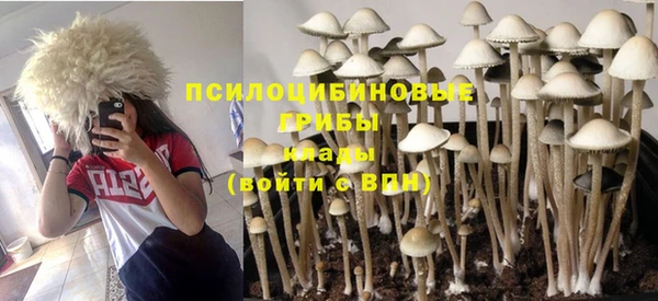 гашиш Горнозаводск