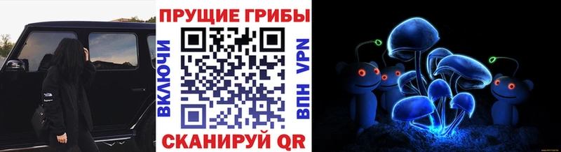 мега ссылки  Чухлома  Псилоцибиновые грибы Cubensis  сколько стоит 